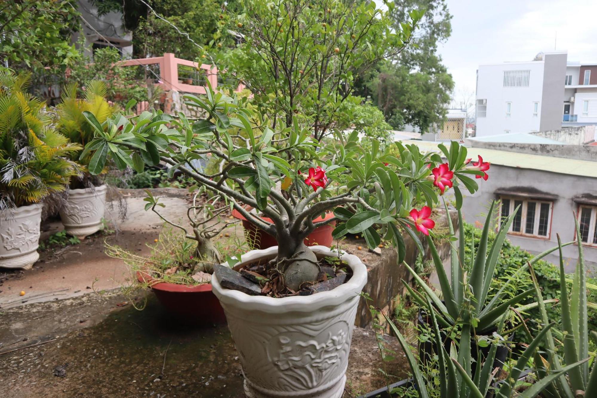 Cassabella Hotel & Apartments Vung Tau Kültér fotó