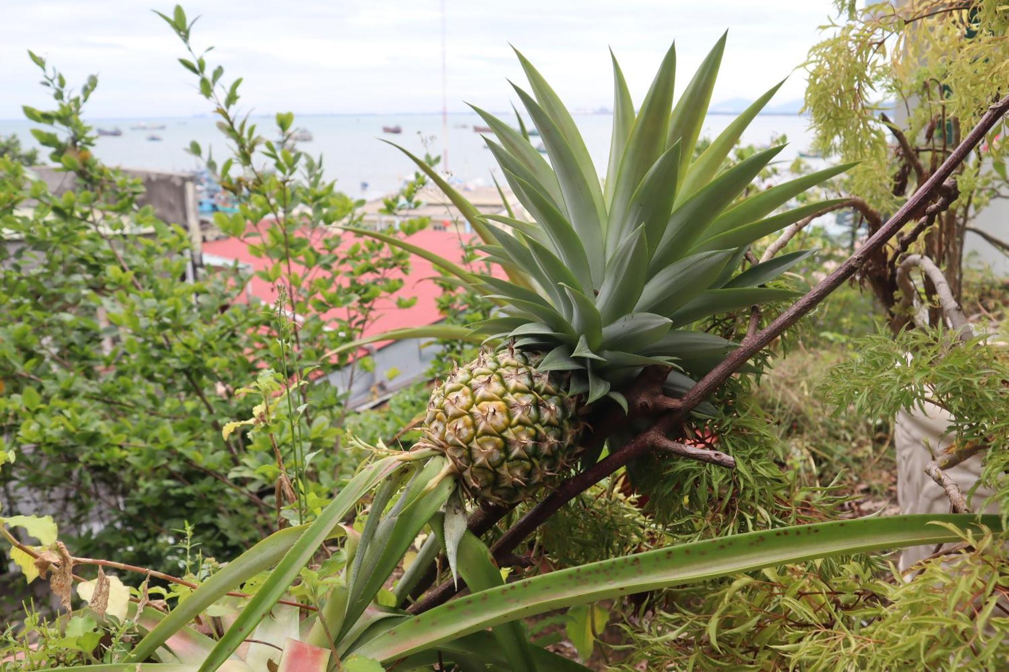 Cassabella Hotel & Apartments Vung Tau Kültér fotó