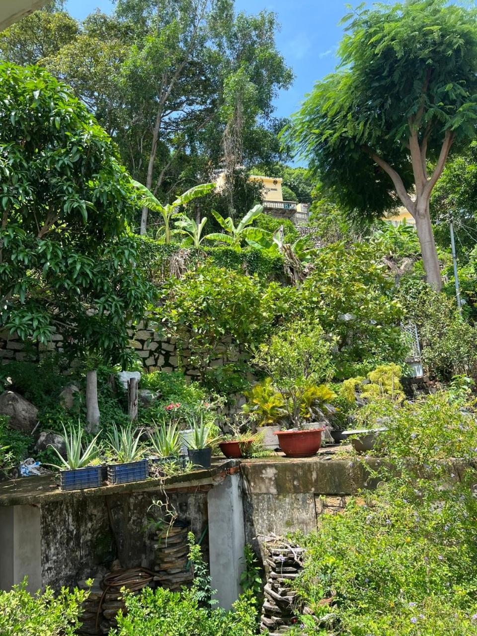 Cassabella Hotel & Apartments Vung Tau Kültér fotó